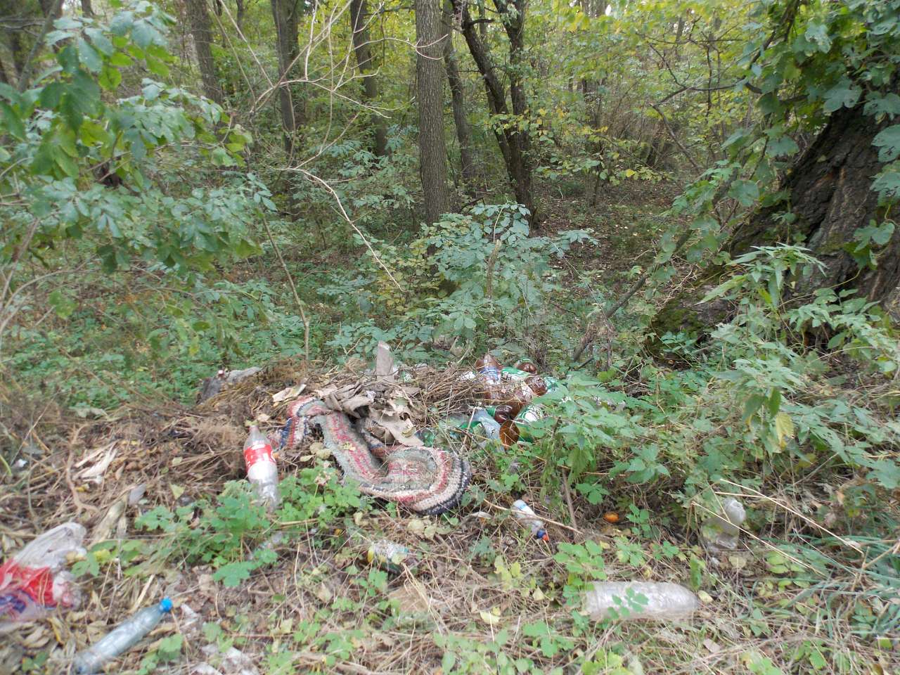 Осінь 2016 - Хотівля