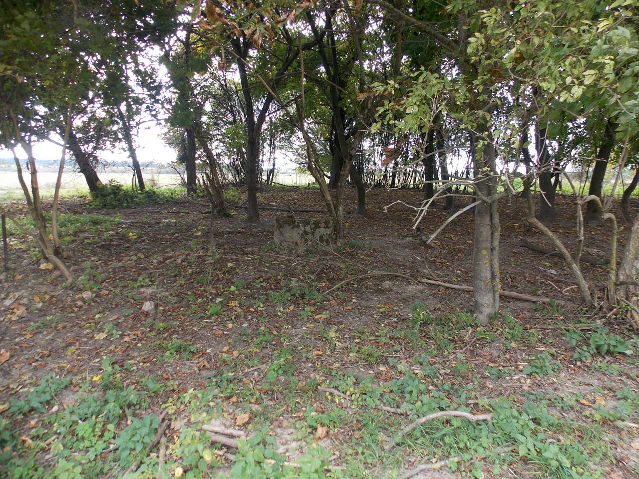 Осінь 2016 - Хотівля