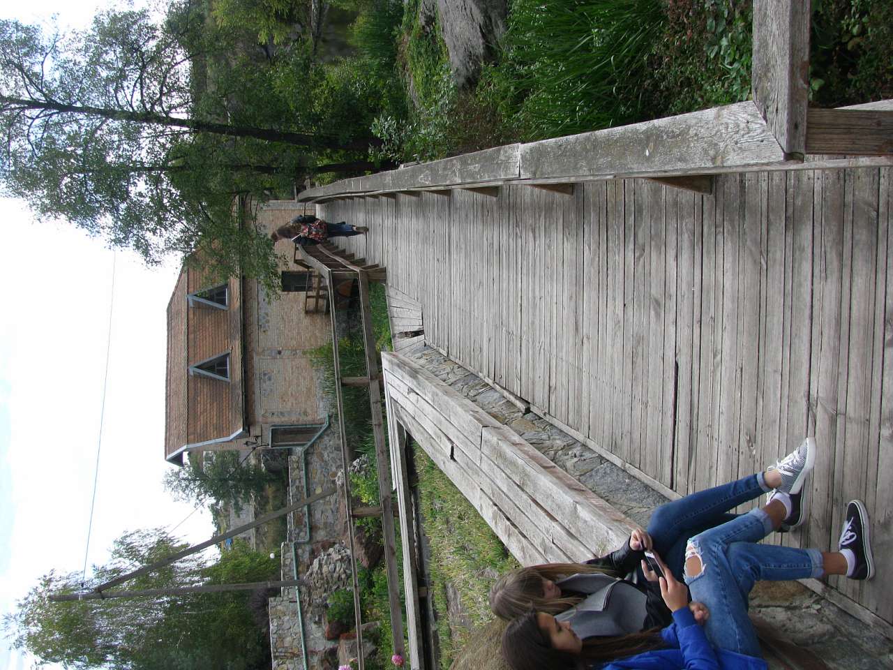 *Буки* - Буки