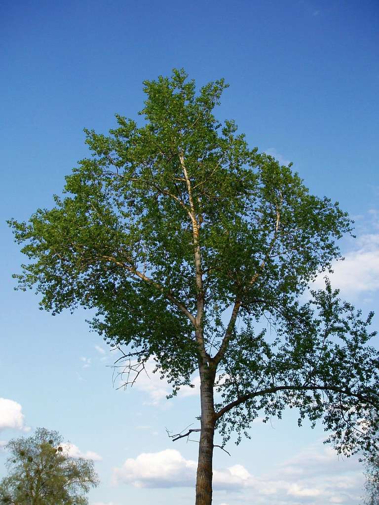 природа села сари - Сары