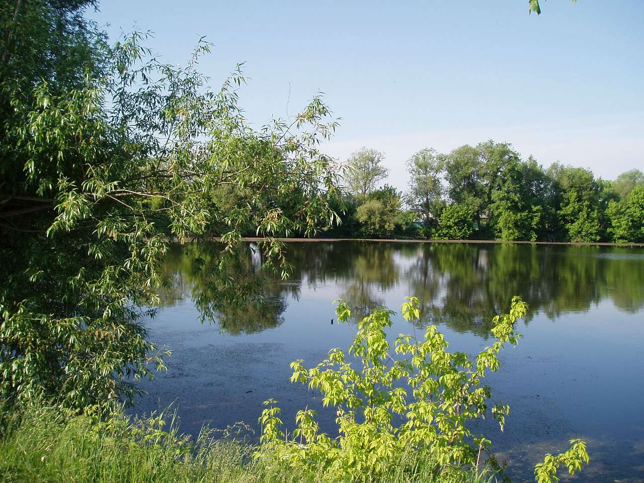 природа села сари - Сари