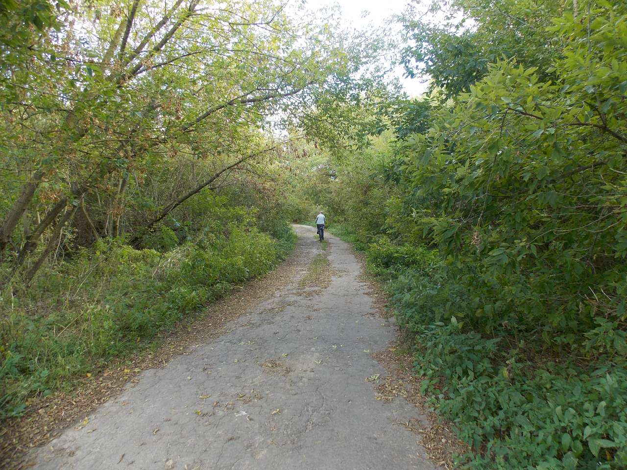 Осінь 2016 - Хотівля