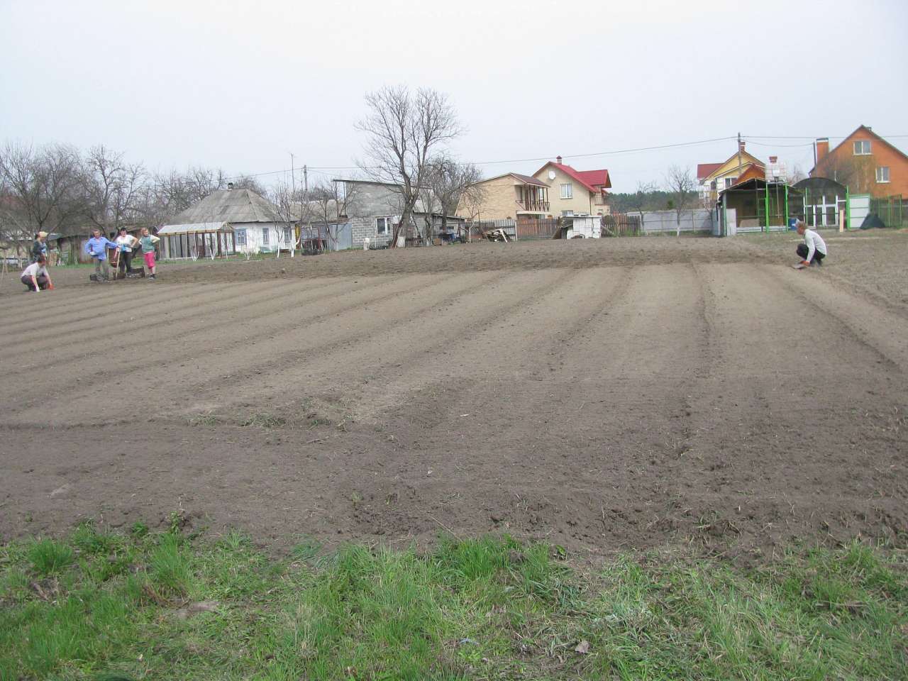 ЯК У РОЖНАХ КАРТОПЛЮ САДЯТЬ - Рожни