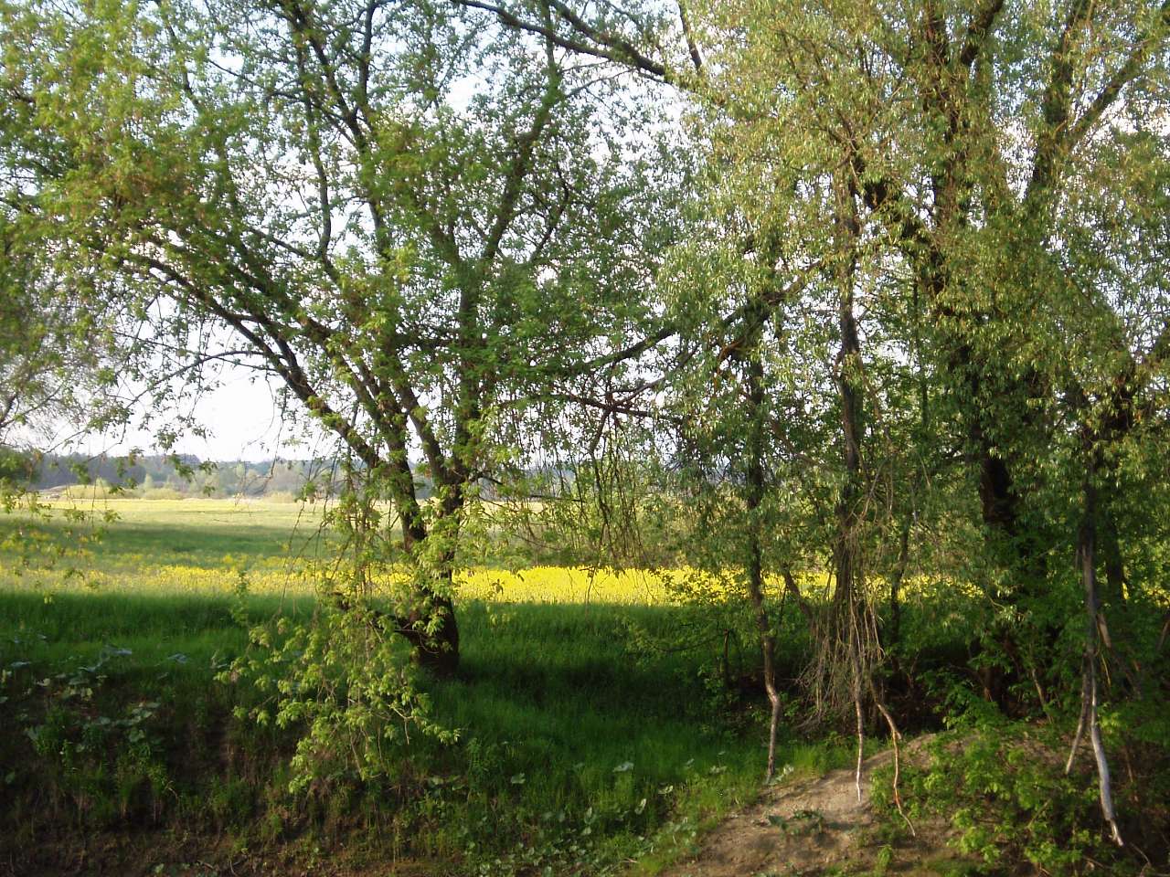 природа села сари - Сары
