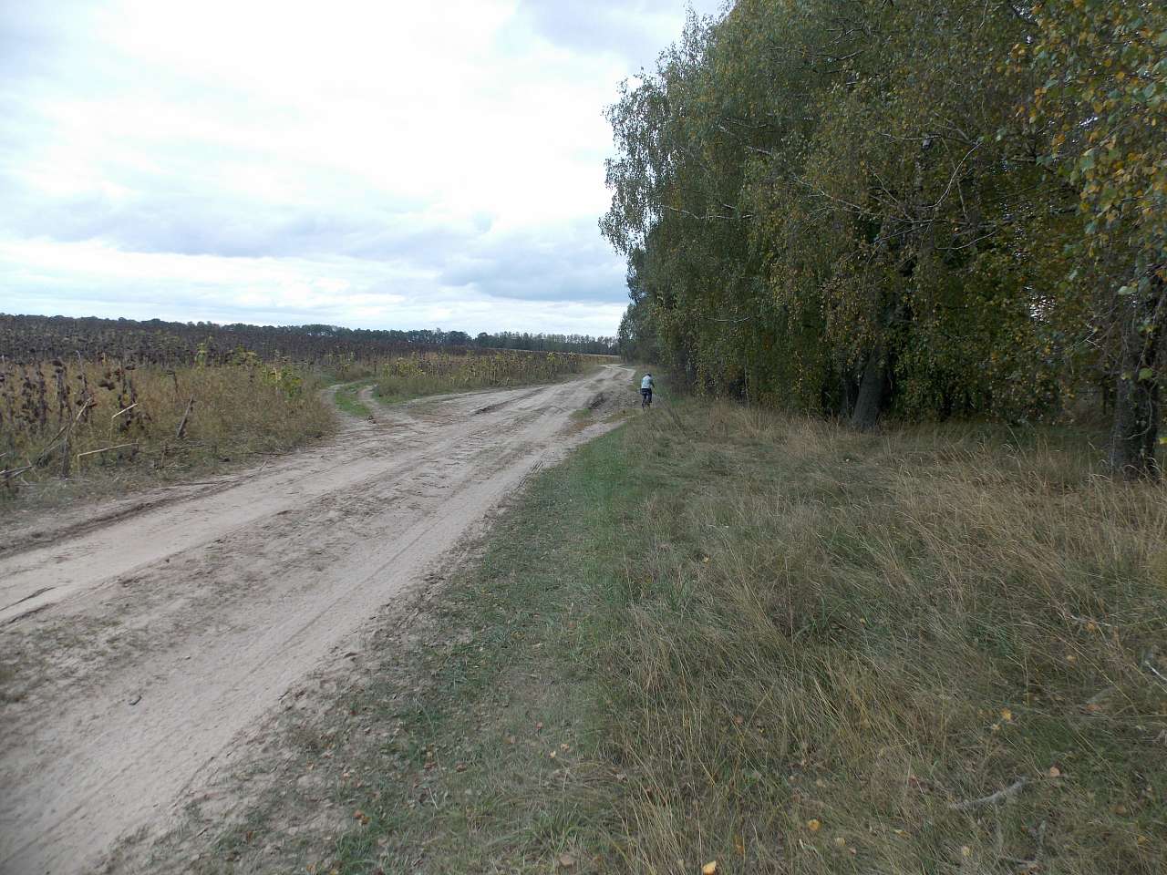 Осінь 2016 - Хотивля