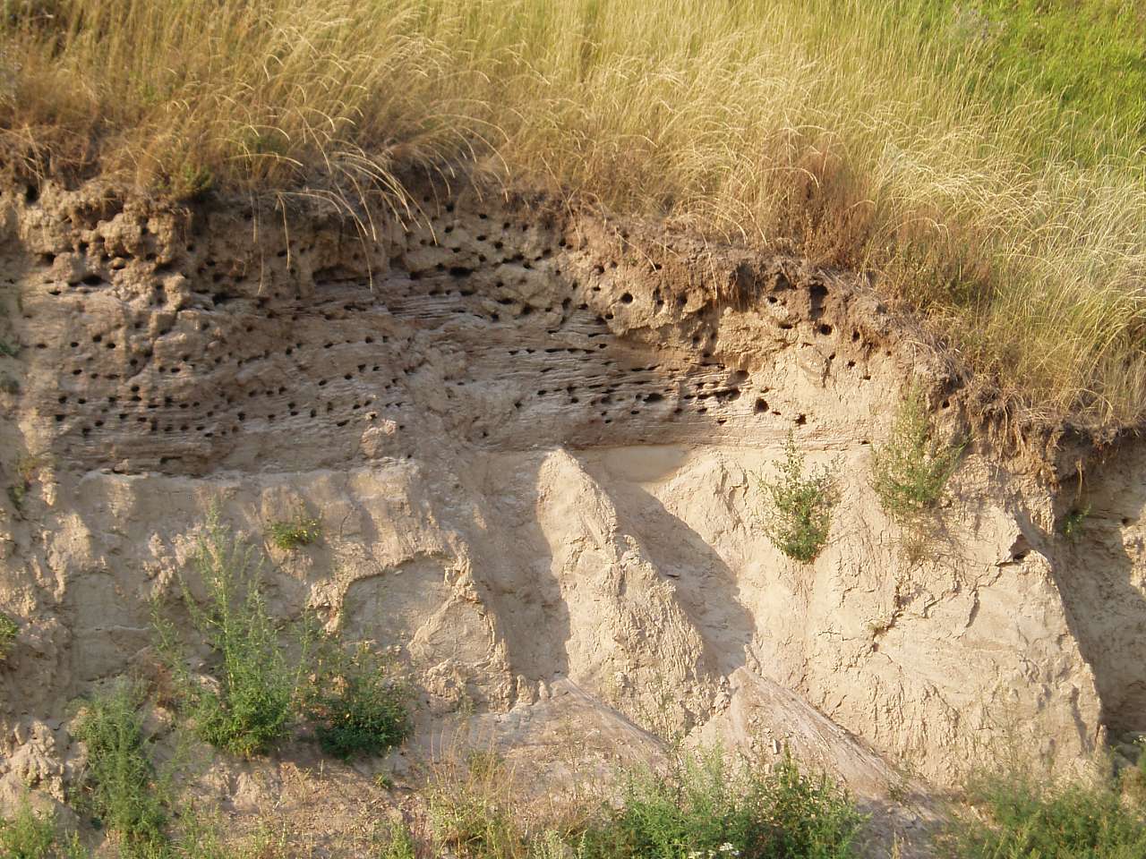 природа села сари - Сары