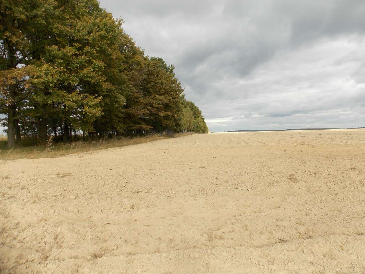 Осінь 2016 - Хотівля