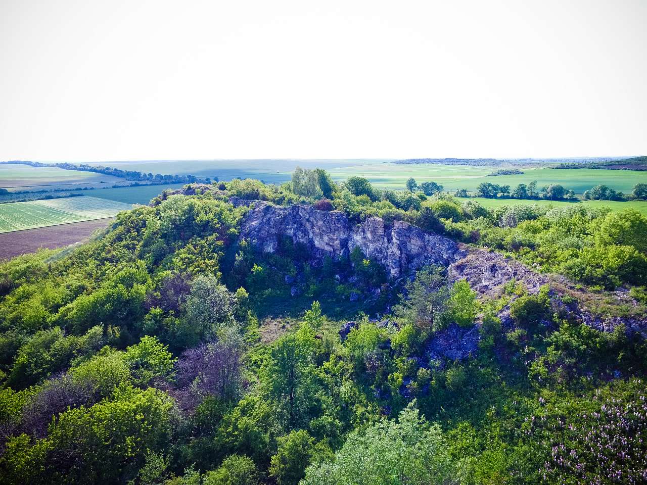 Медобори - Вікно