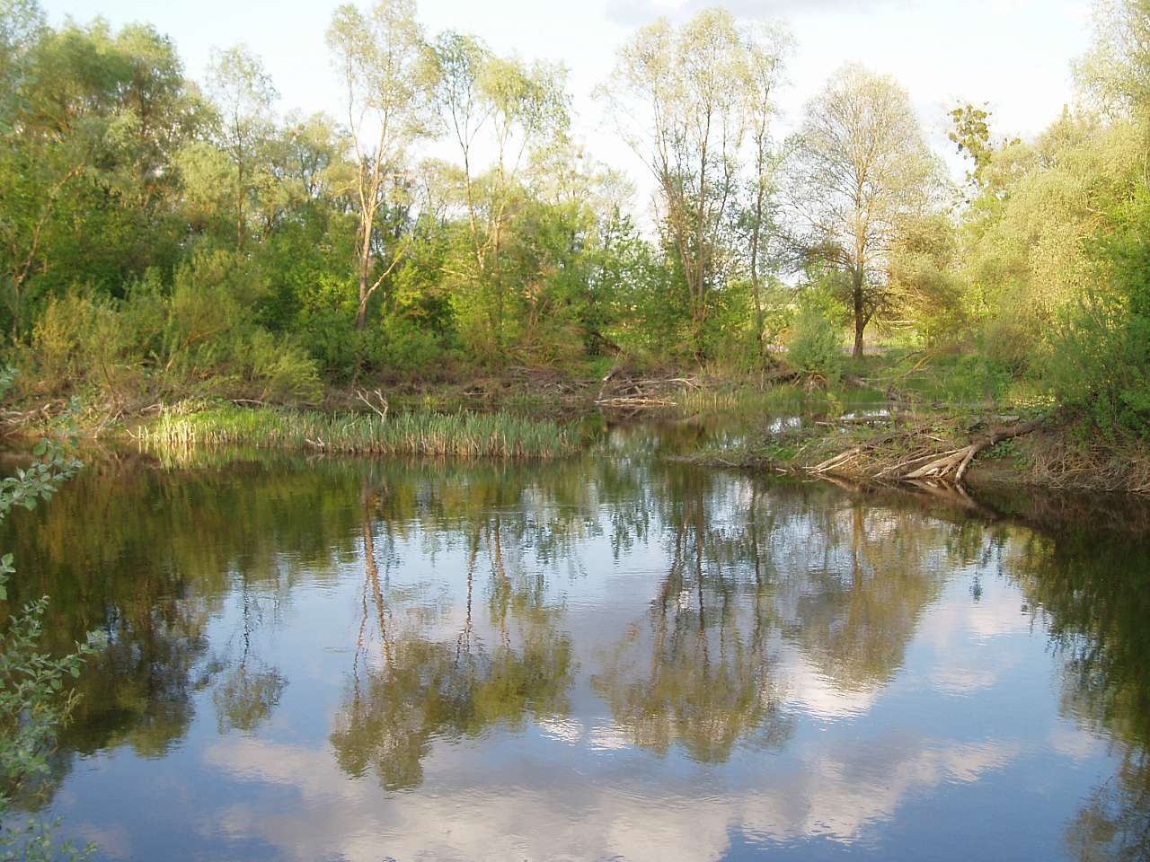 природа села сари - Сары