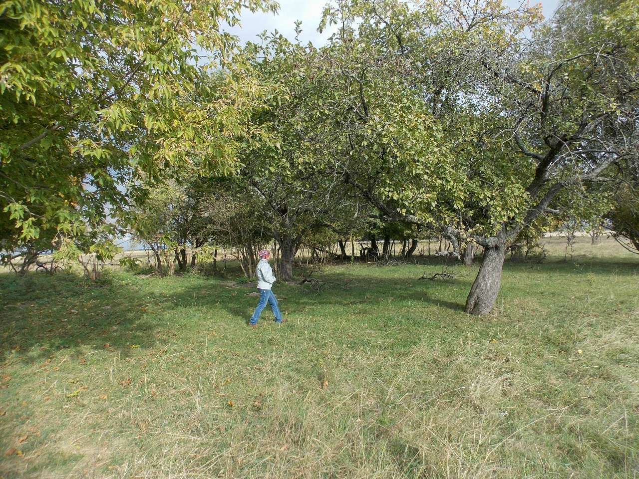 Осінь 2016 - Хотівля