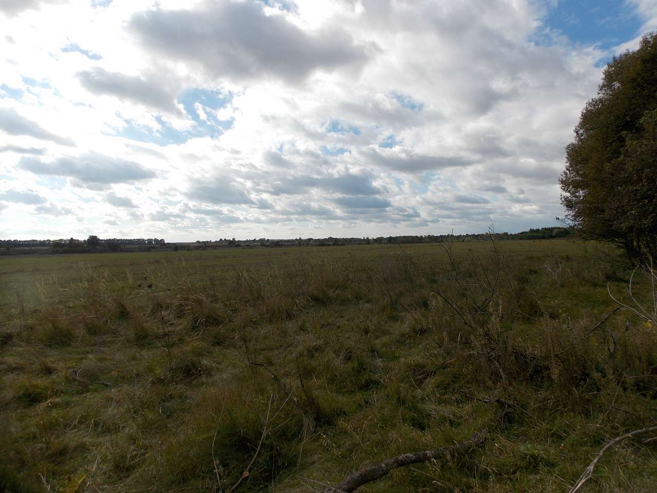 Осінь 2016 - Хотівля