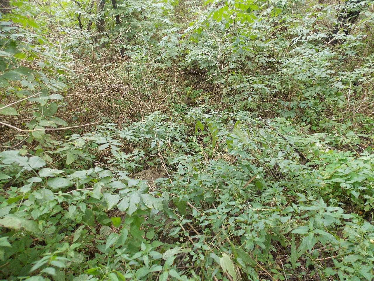 Осінь 2016 - Хотівля