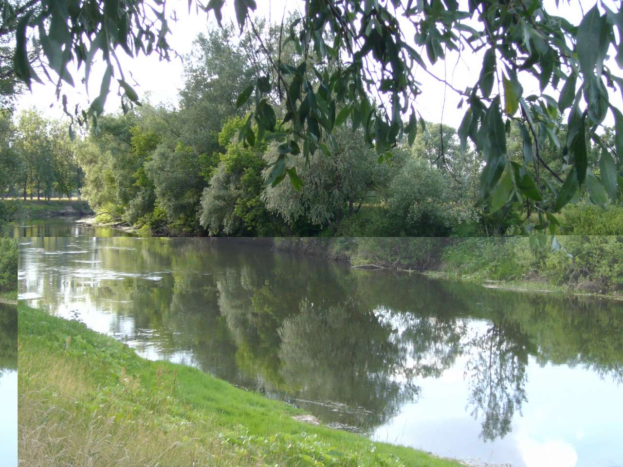 природа села сари - Сари