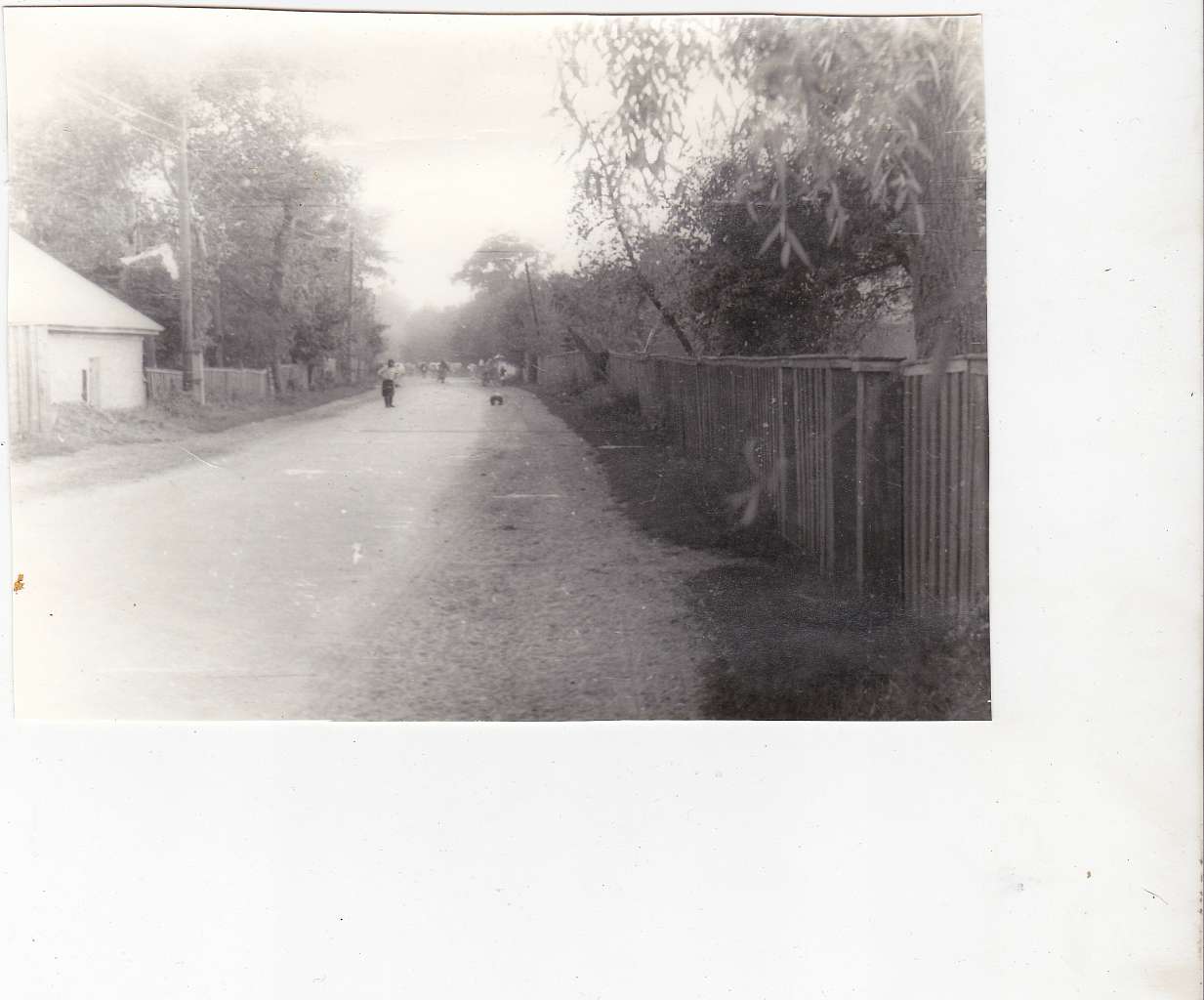 Фото ХХ-століття - Ушня