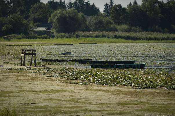 Нобель-перлина рівненського Полісся - Нобель