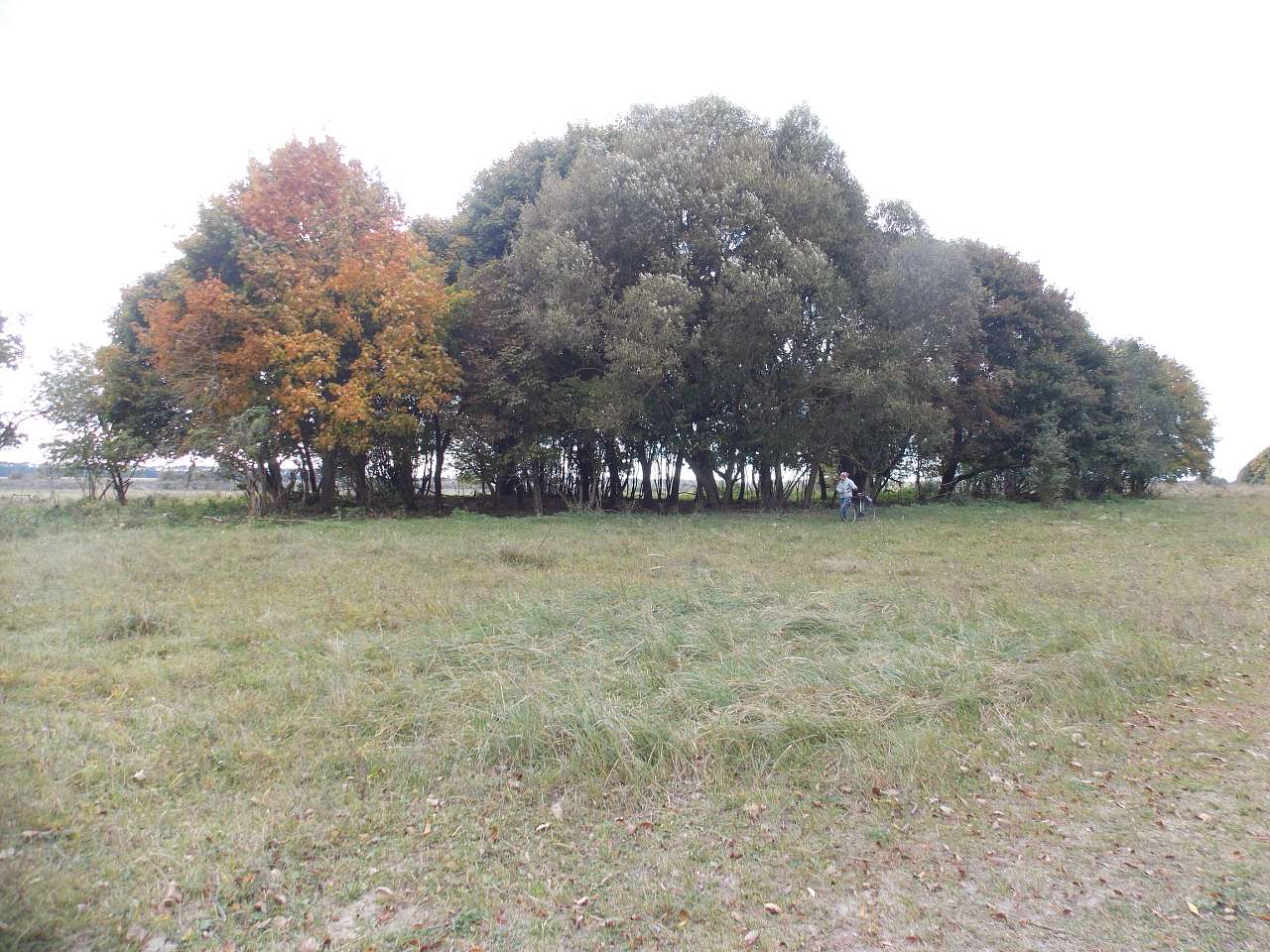 Осінь 2016 - Хотівля