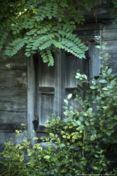 Нобель-перлина рівненського Полісся - Нобель