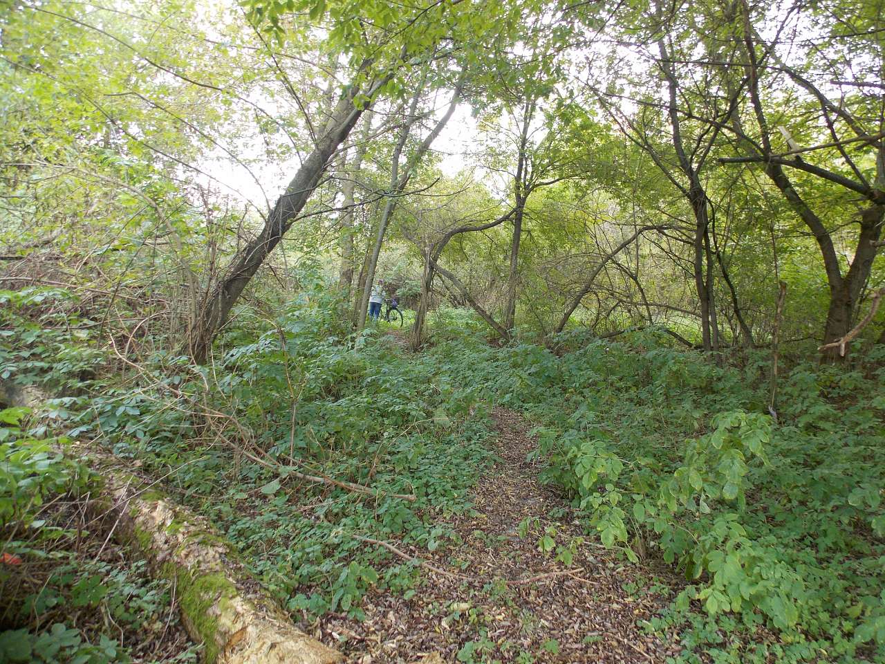 Осінь 2016 - Хотівля