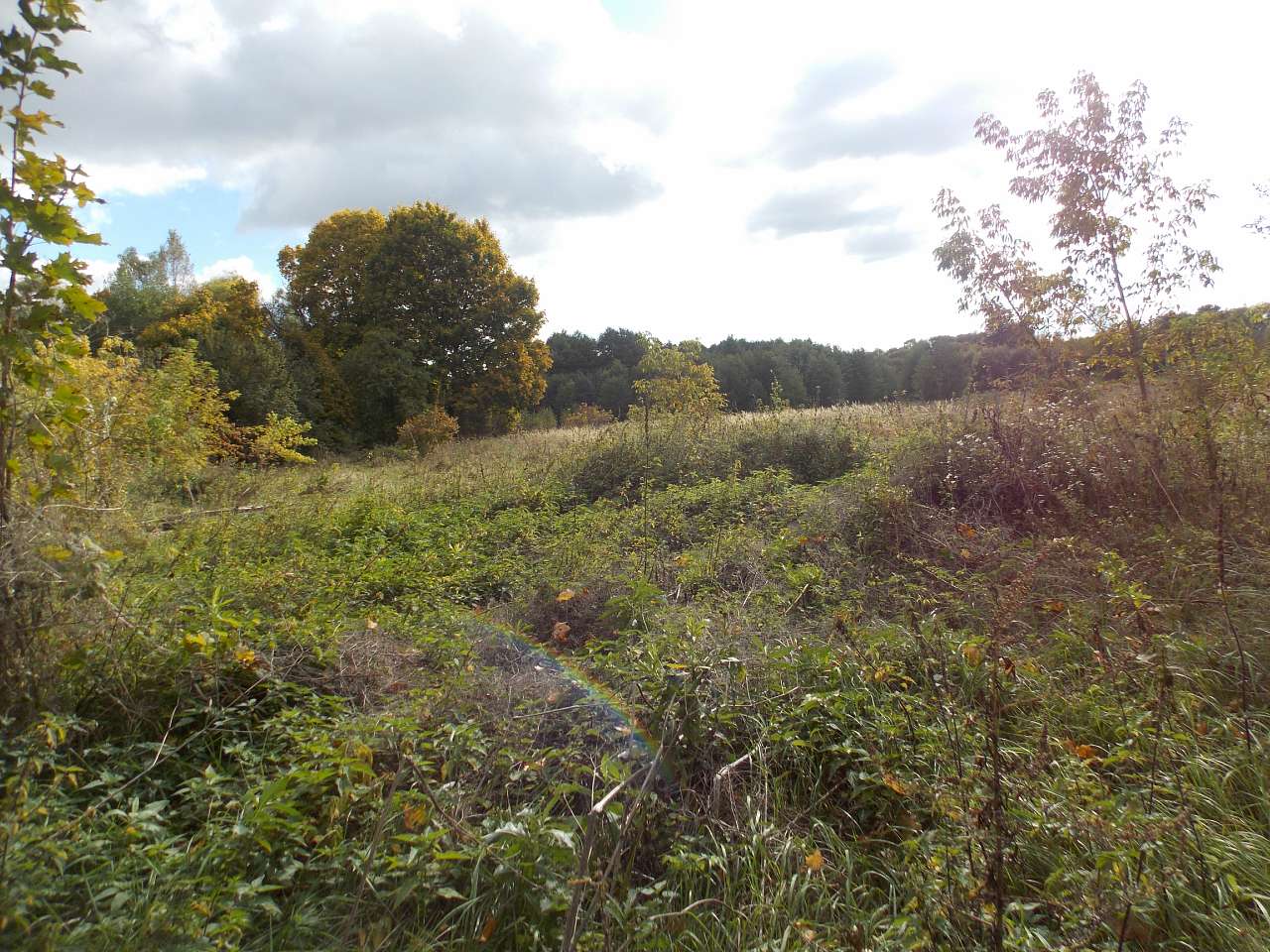 Осінь 2016 - Хотівля