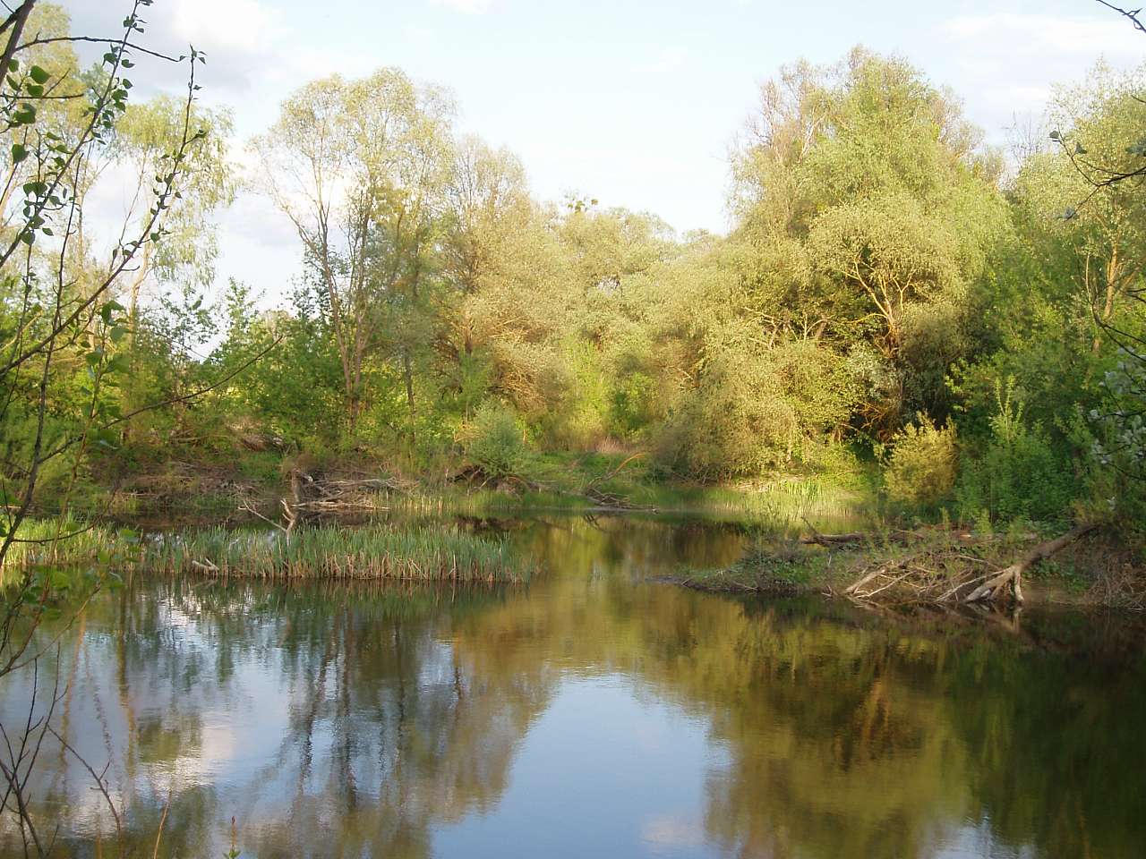 природа села сари - Сари