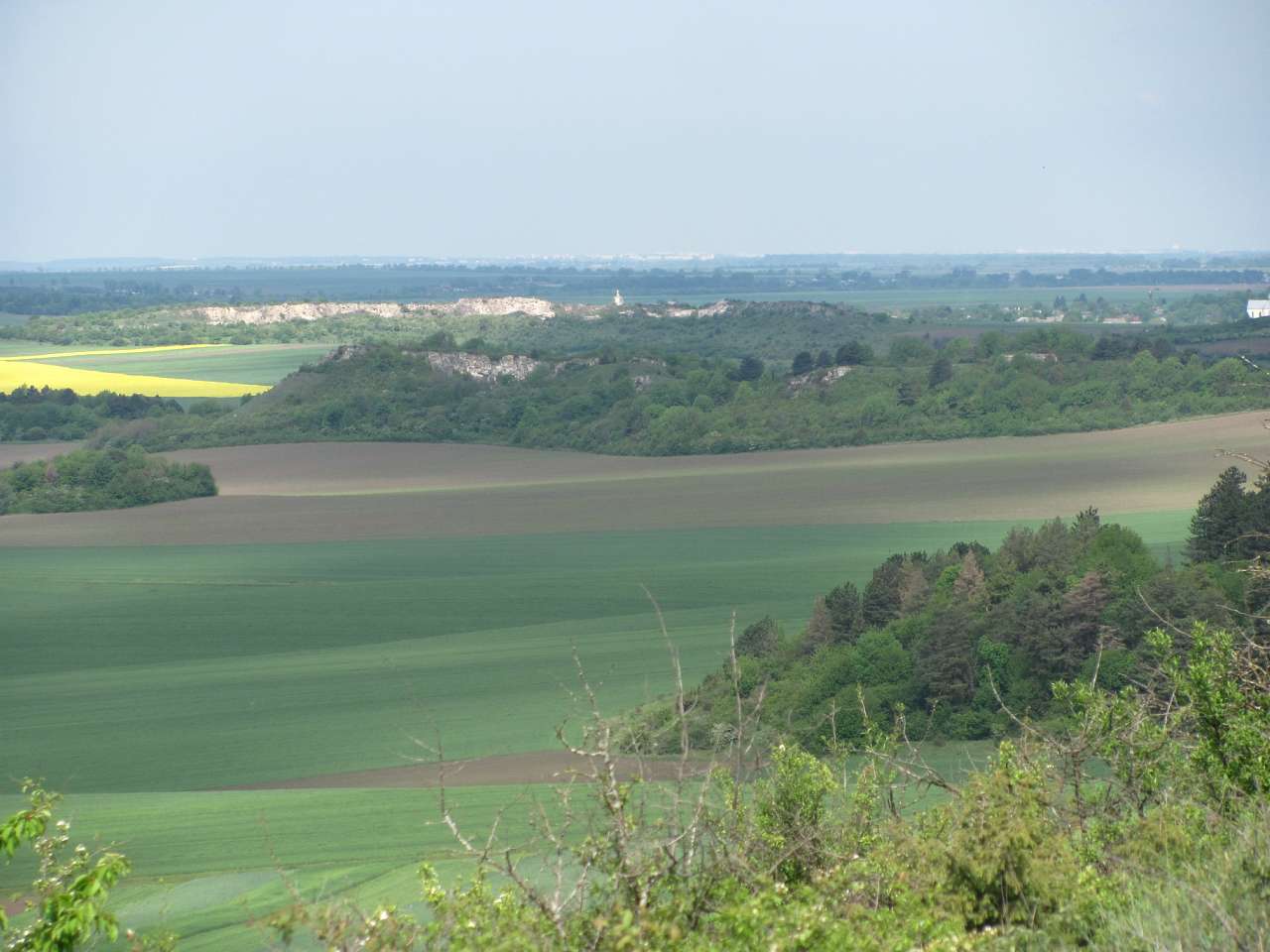 Медобори - Вікно