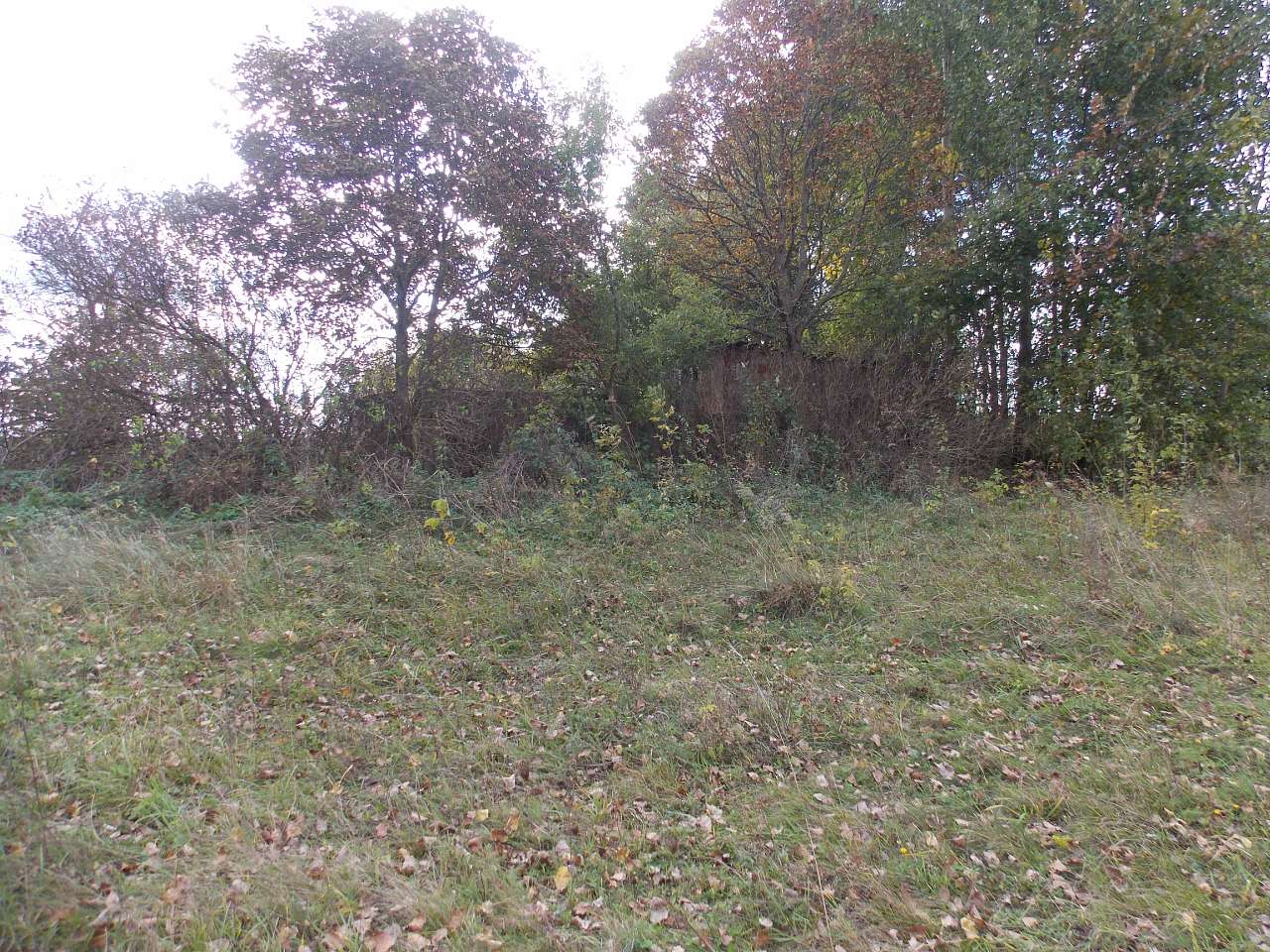 Осінь 2016 - Хотівля