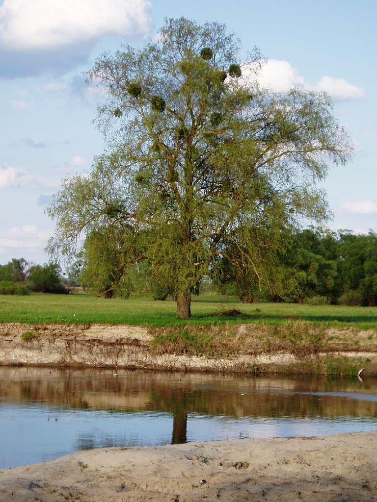 природа села сари - Сари