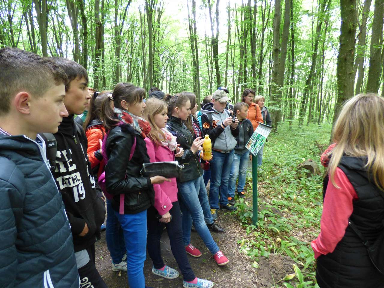 Школа - Нижбірок