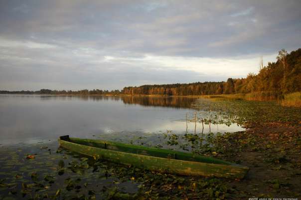 Нобель-перлина рівненського Полісся - Нобель