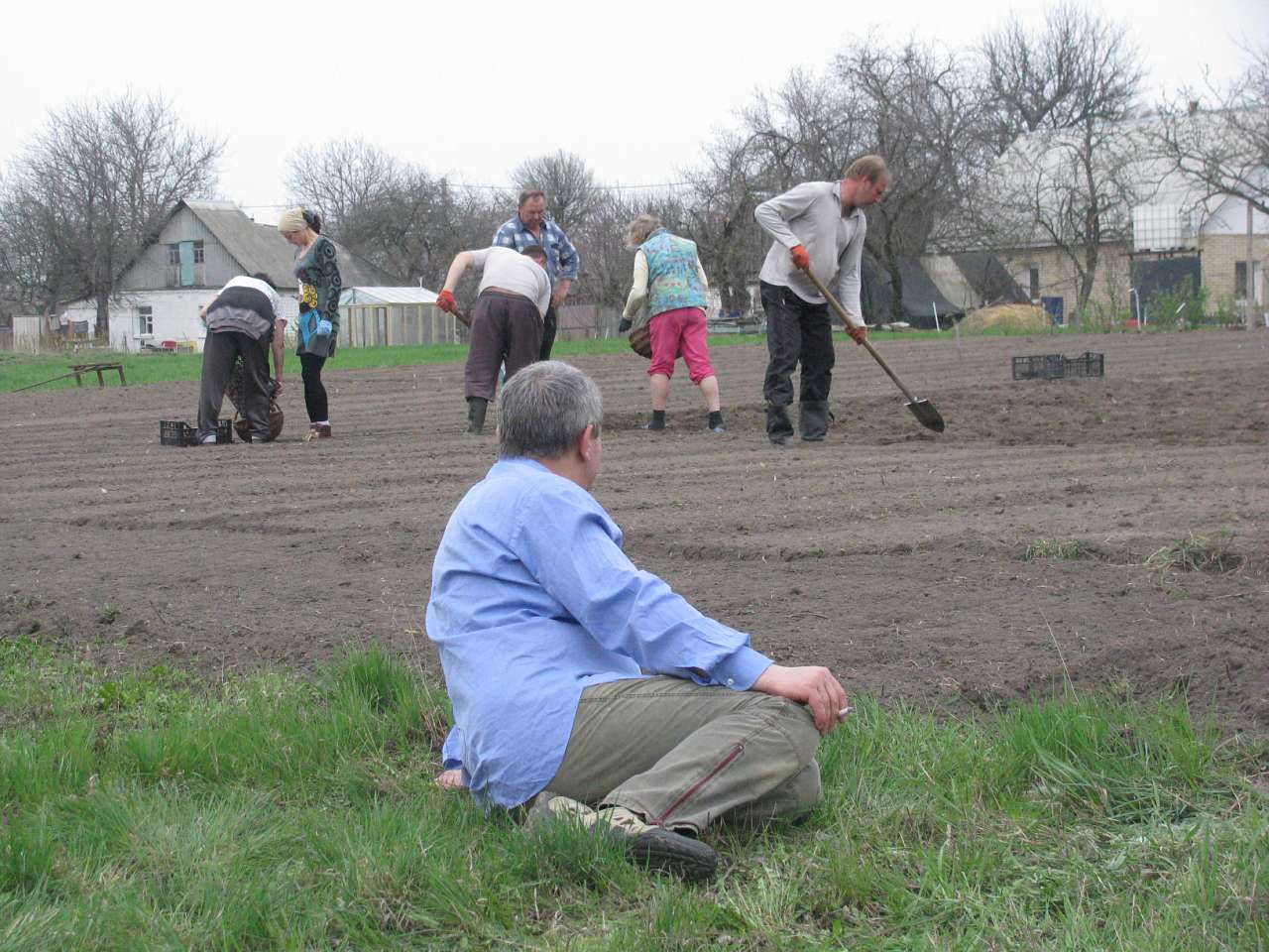ЯК У РОЖНАХ КАРТОПЛЮ САДЯТЬ - Рожны