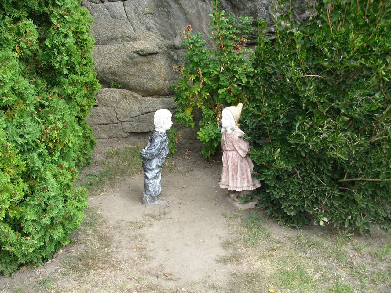 *Буки* - Буки