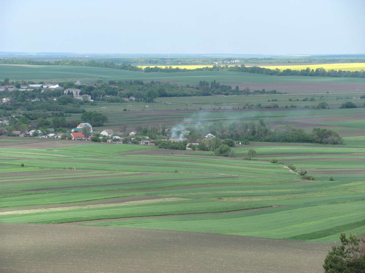 Медобори - Вікно