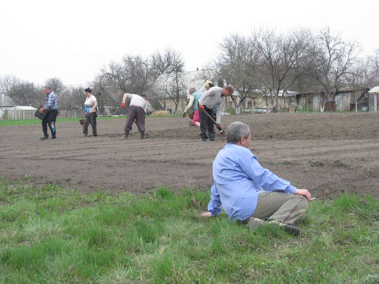 ЯК У РОЖНАХ КАРТОПЛЮ САДЯТЬ - Rozhny