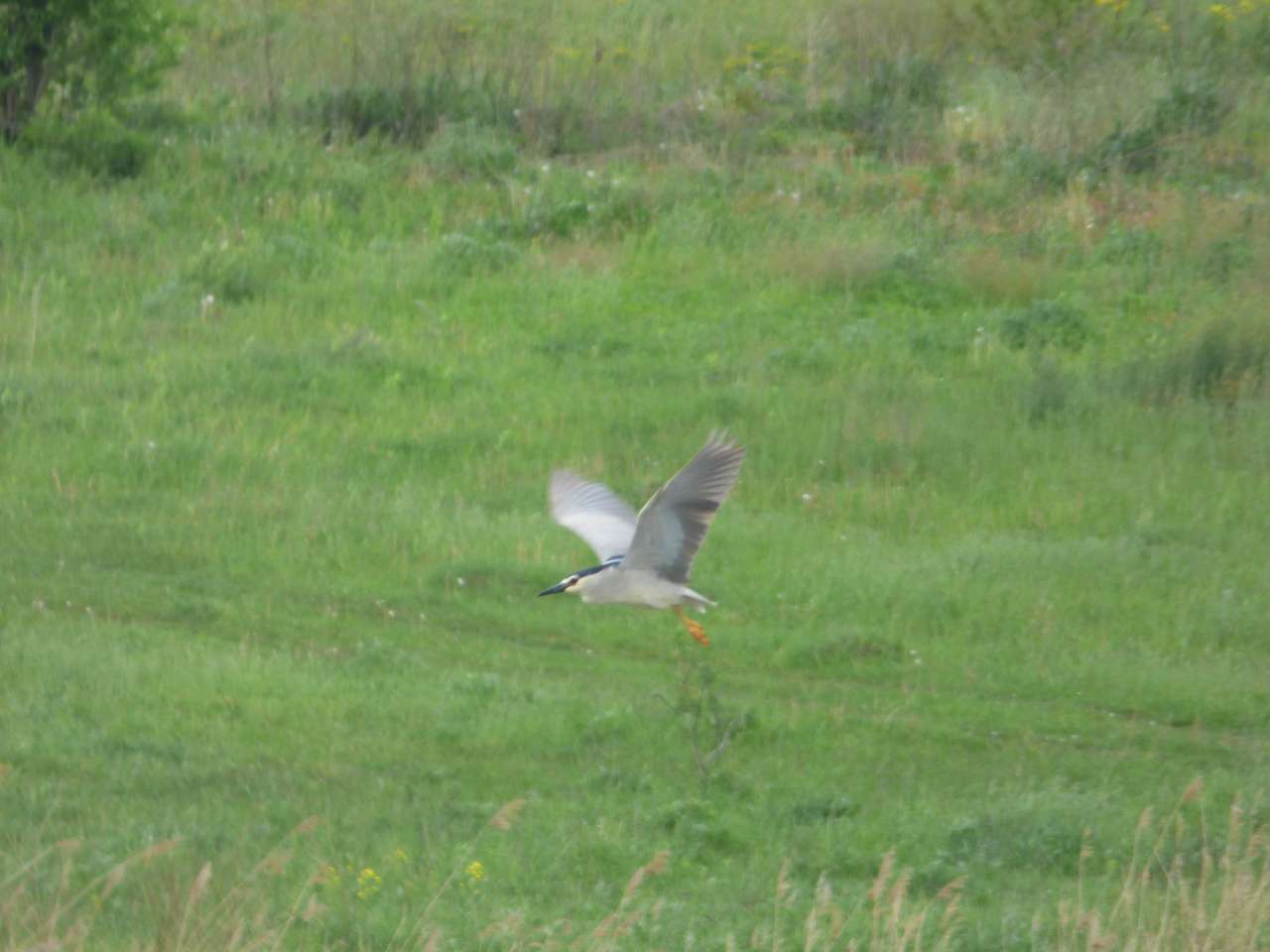 природа - Глібів