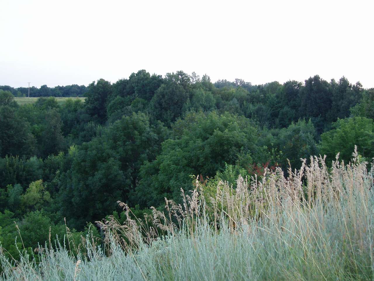 природа села сари - Сары