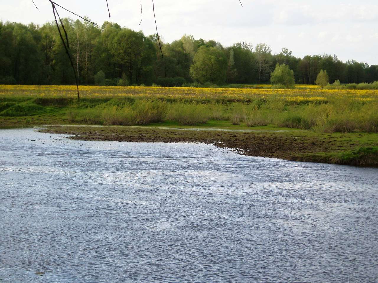 природа села сари - Сари