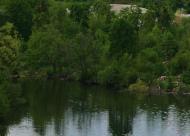 ПЛОТИНА НА ТЕТЕРЕВІ