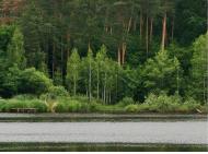 Рукотворне радіоактивне озеро