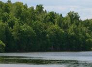 ПЛОТИНА НА ТЕТЕРЕВІ