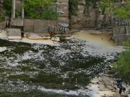 ПЛОТИНА НА ТЕТЕРЕВІ