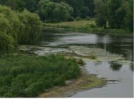 Коростишів гранітна столиця