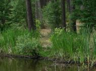 Рукотворне озеро 'Коростишевський кар'єр'