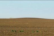 ПРИГОРИЗОНТНА ОБСЕРВАТОРІЯ