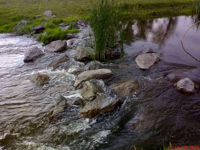 ЛІТО У СТЕЦІВЦІ  - Стецівка