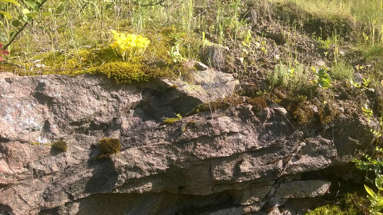 Літо в Скалі - Скала