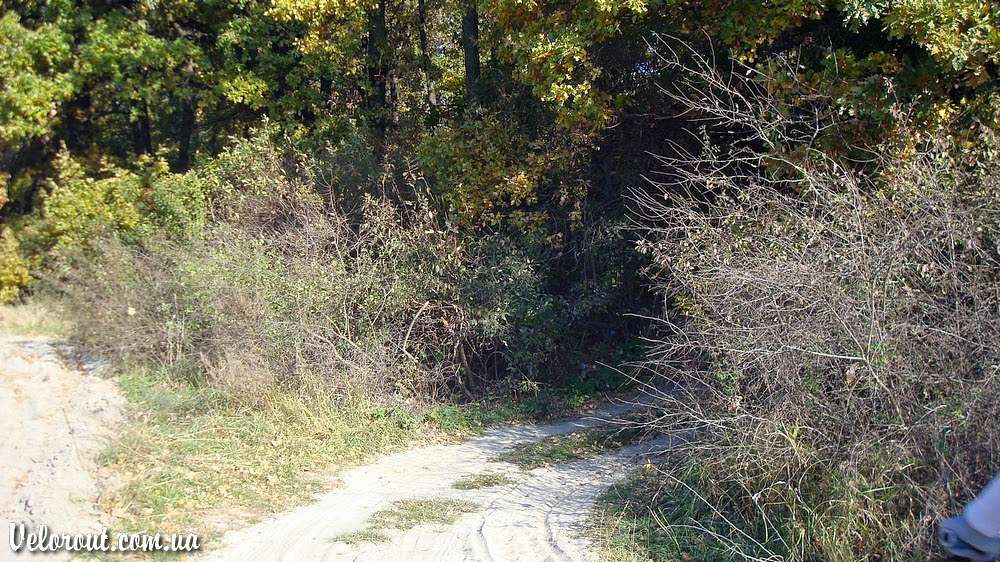 с Рудка - Рудка