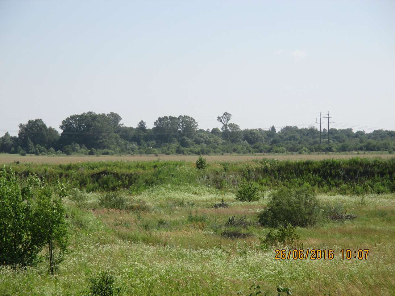 Фото села - Дідова Гора