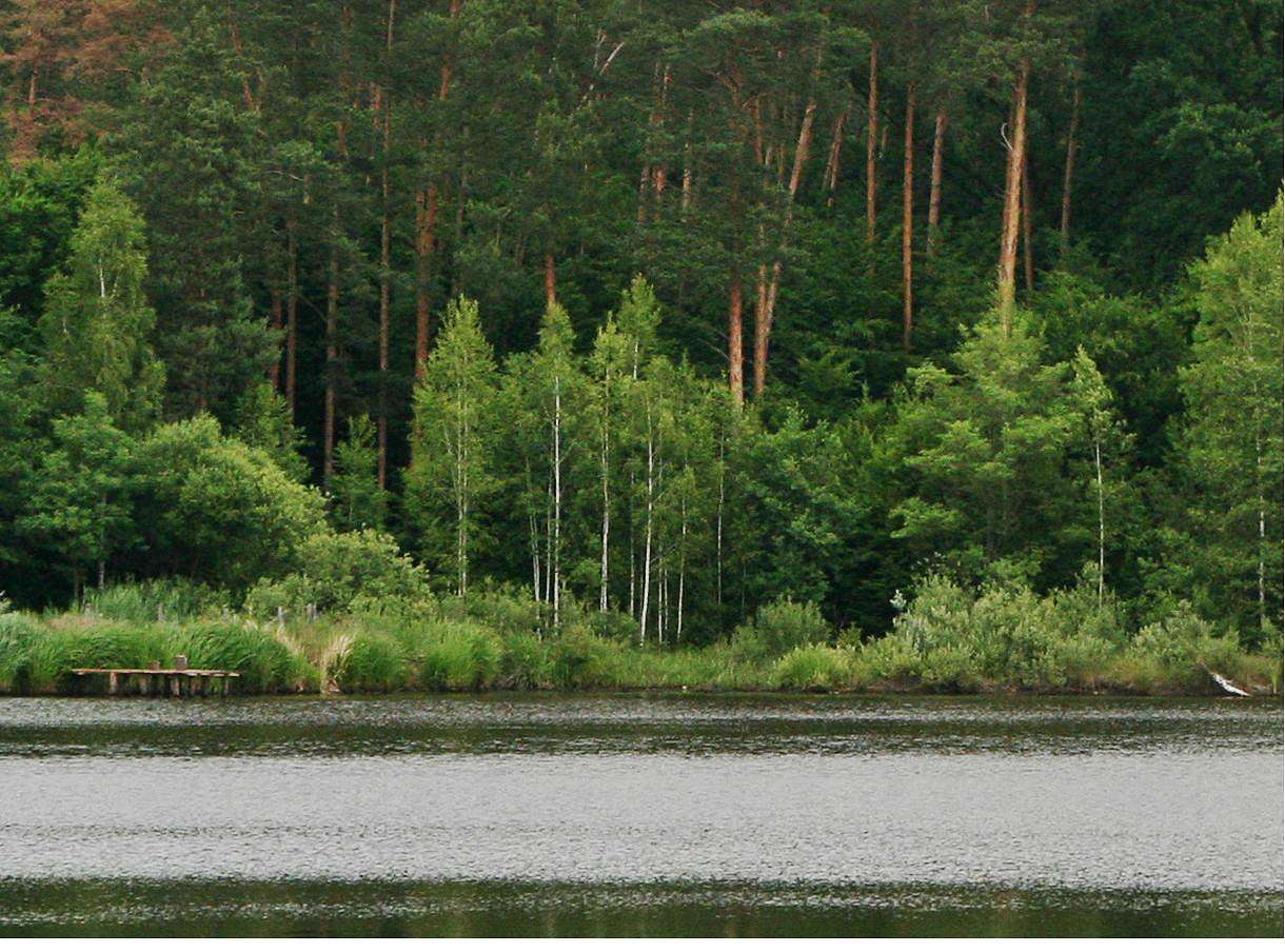 Рукотворне радіоактивне озеро - Коростишів