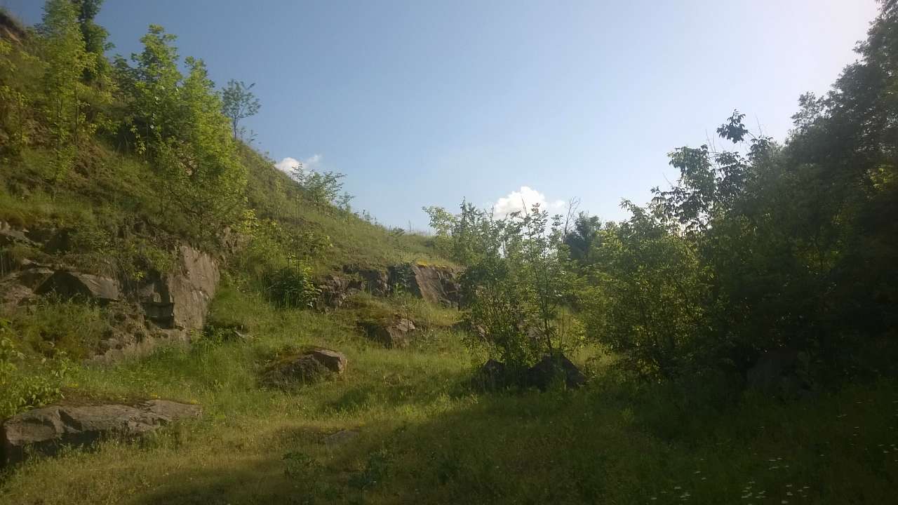 Літо в Скалі - Скала