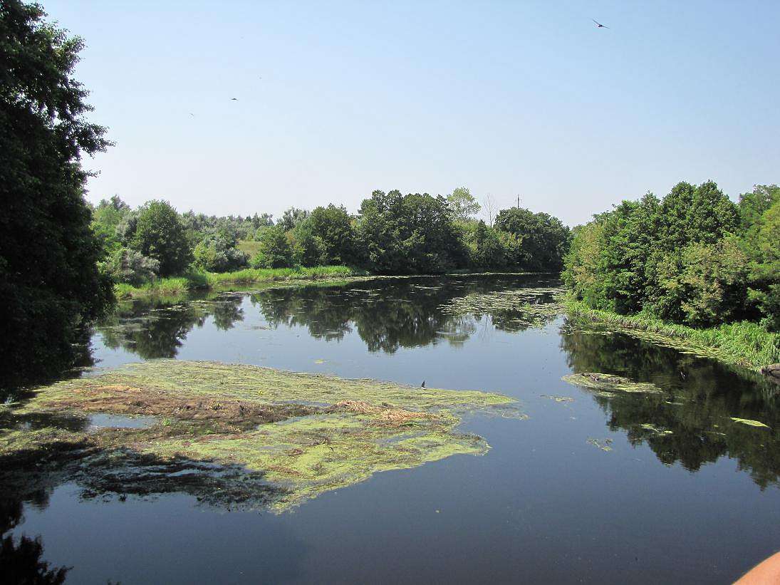Там де Тясмин впадає у рукотворне море - Стецівка